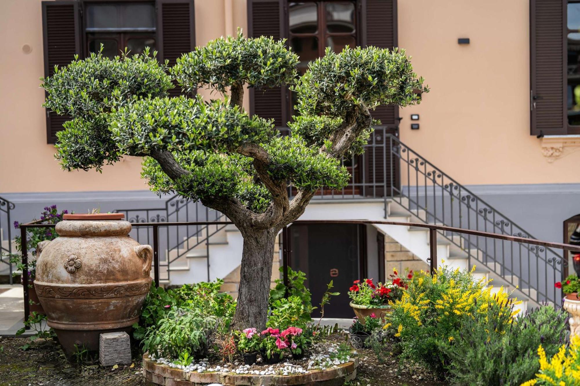 Villa Agostino Luxury B&B Vico Equense Ngoại thất bức ảnh